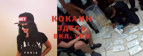 дмт Верея
