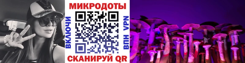 Псилоцибиновые грибы ЛСД Карабаново